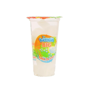 Le Yasmin Nata De Coco Big 250ML